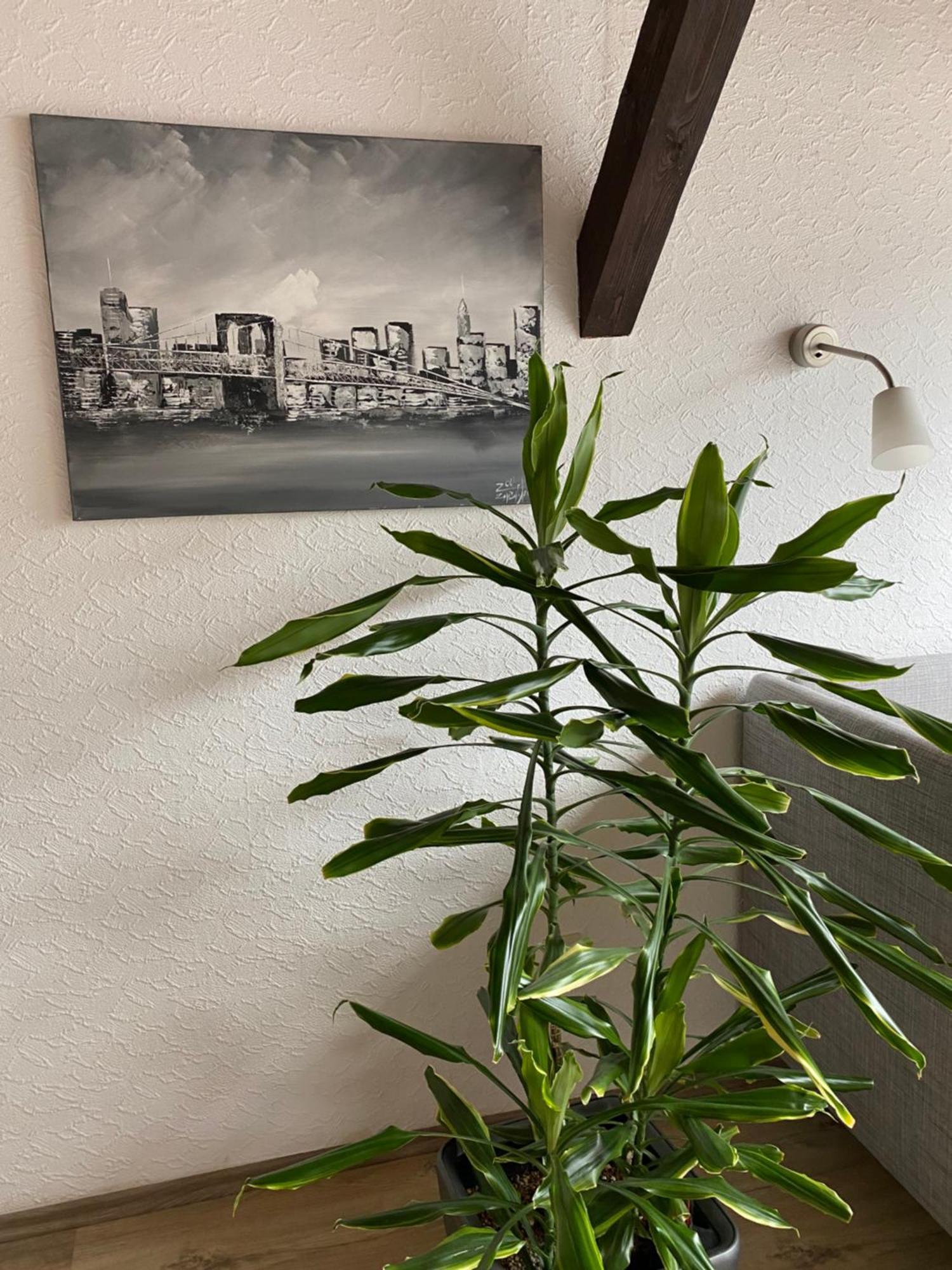 Ferienwohnung Malk Трабен-Трарбах Екстериор снимка
